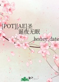 [POT][AE]圣诞夜无眠